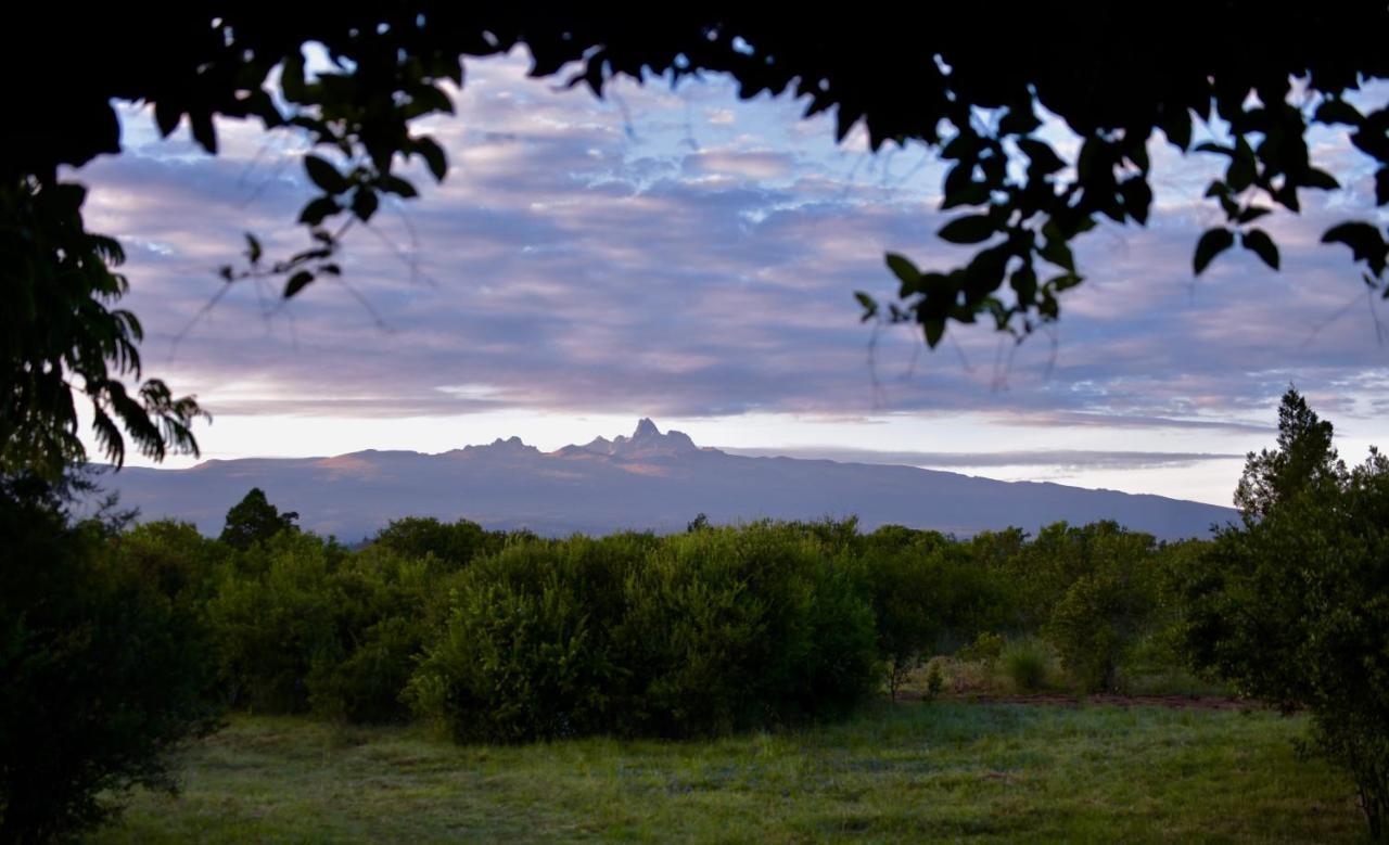 Villa Olepangi Farm à Nanyuki Extérieur photo