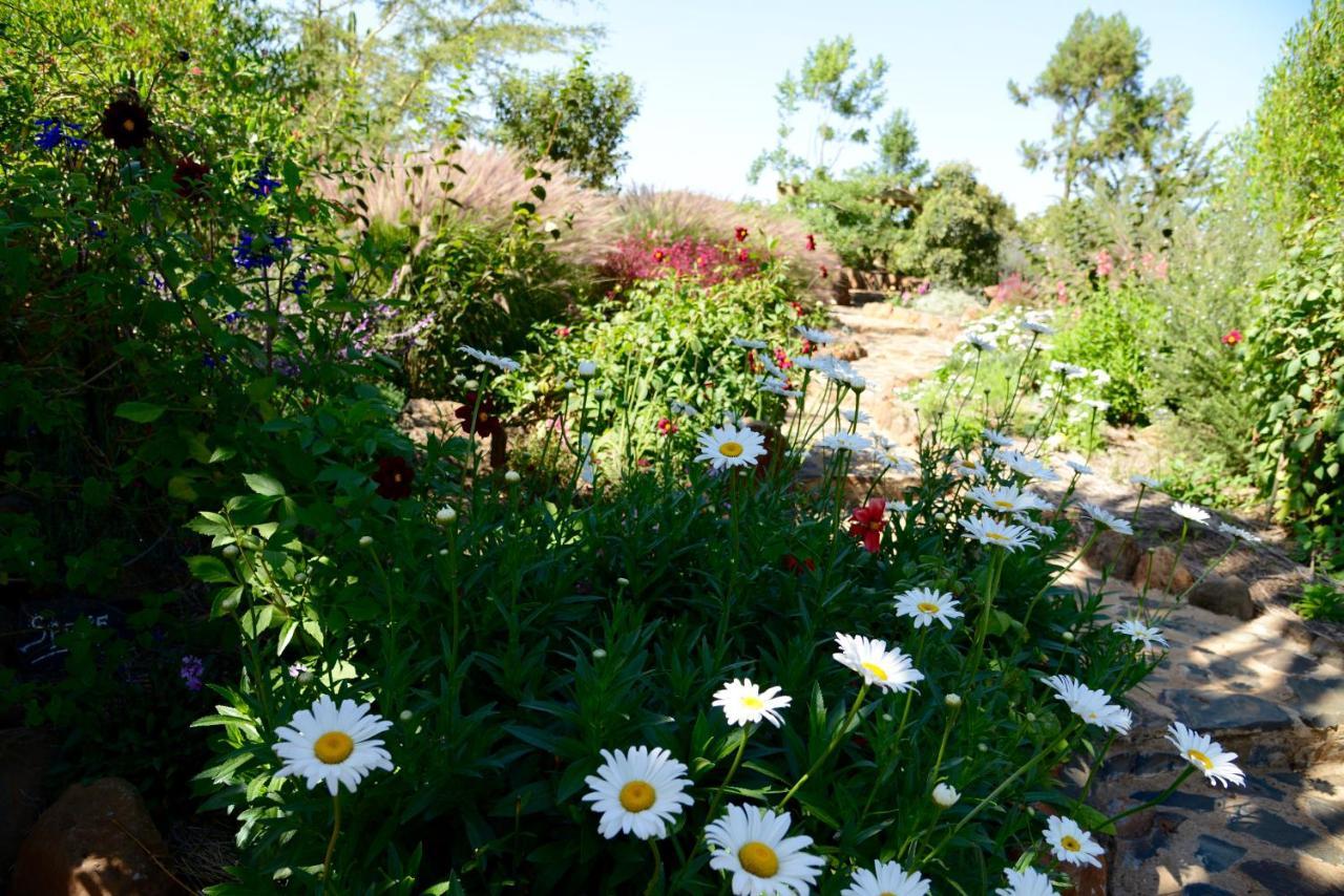 Villa Olepangi Farm à Nanyuki Extérieur photo