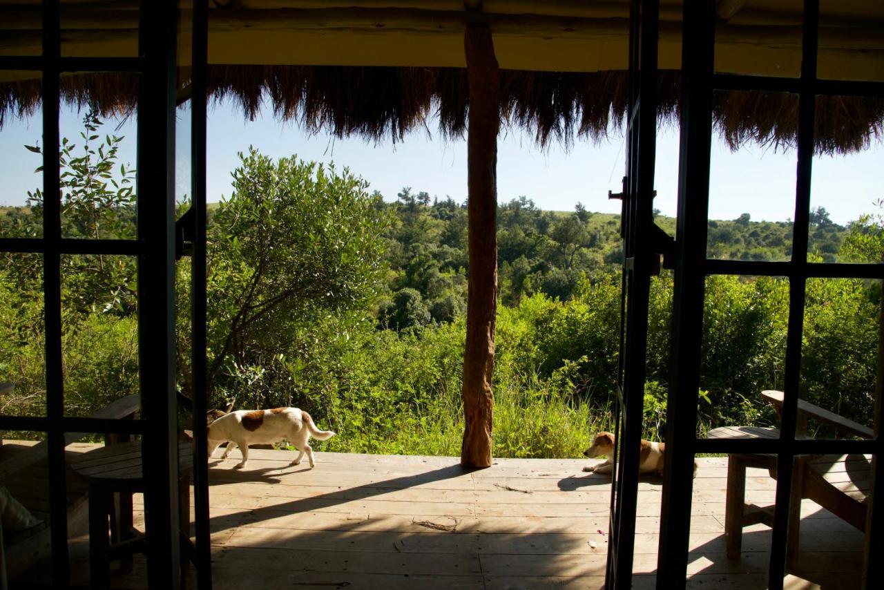 Villa Olepangi Farm à Nanyuki Extérieur photo