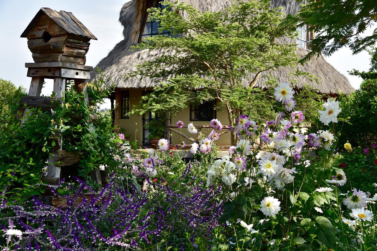 Villa Olepangi Farm à Nanyuki Extérieur photo